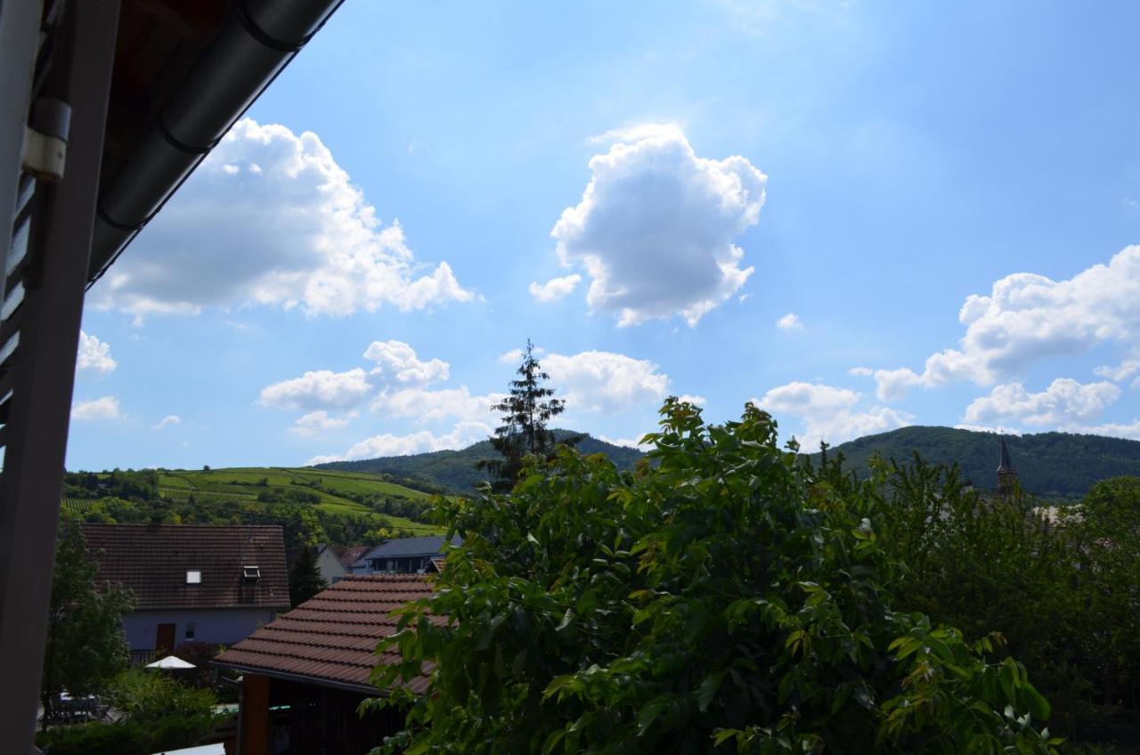 L'Atelier Des Sens Bed and Breakfast Wintzenheim Buitenkant foto